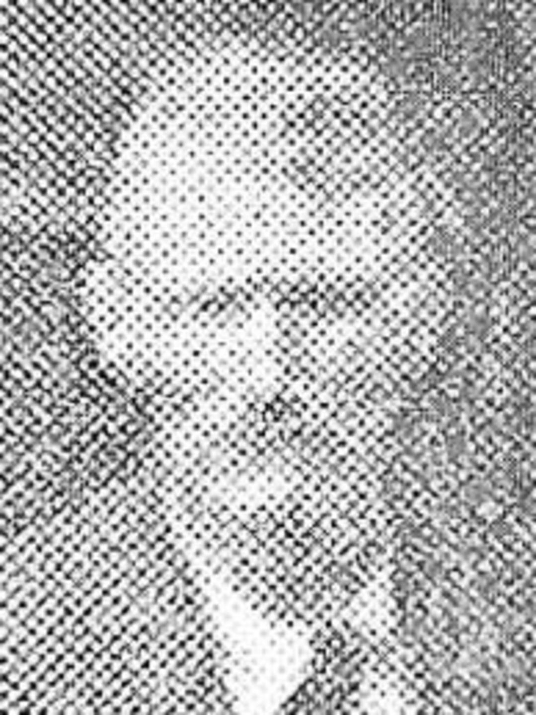 Thomas Joseph Bacon (1845 - 1916) Profile